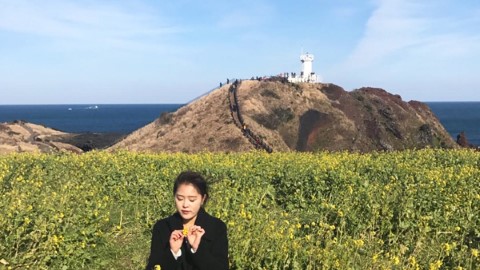 濟州 3 月花盛開！ 韓觀光公社推 Best 10 景點